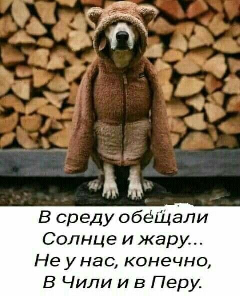 Среды картинки