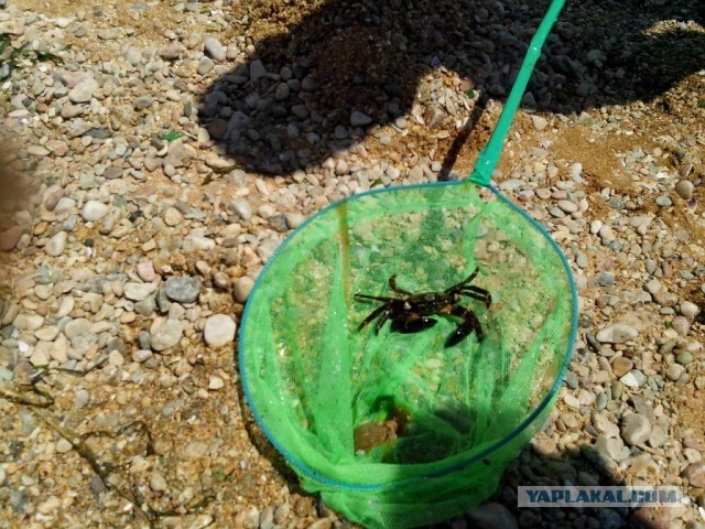 Как мы в Крым катались