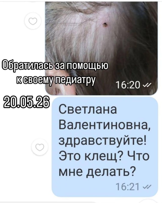 Эзотерики и всякие тарологи без постоянного графика работы почему-то думают что у остальных так же.