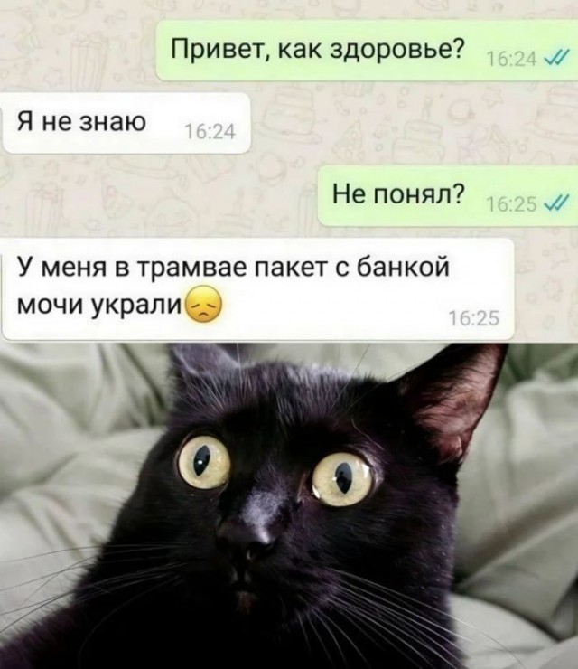 Картинки всякие разные невпопад 1.4