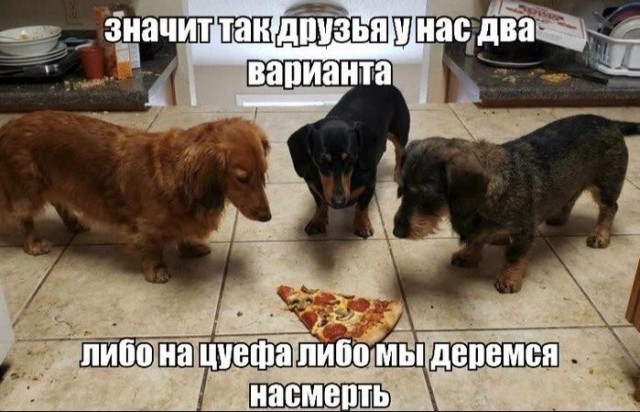 Картинки для деградации 218 (разной степени свежести)