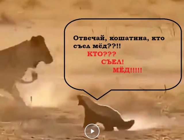 Мы недооцениваем пользу мёда..