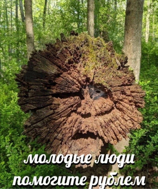 Веселое настроение в картинках 26.07.26