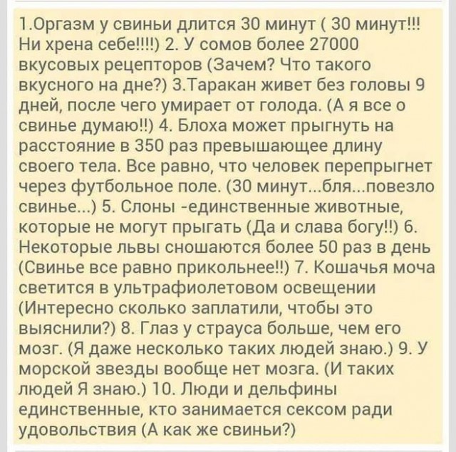 ЯПовцы среди птиц