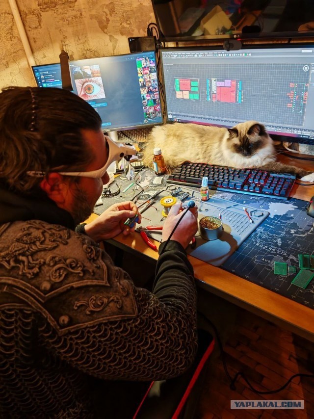 Хороший котик