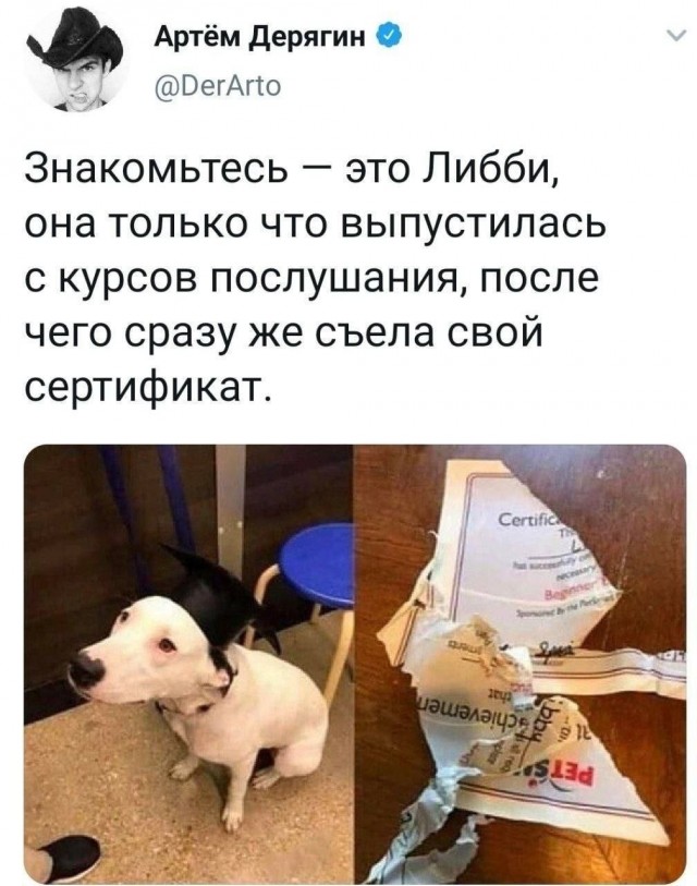 Веселые картинки в понедельник (07.02)