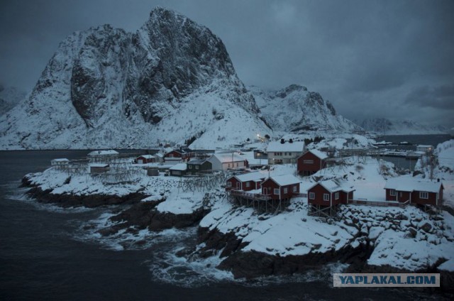 Лучшие фотографии National Geographic 2013.