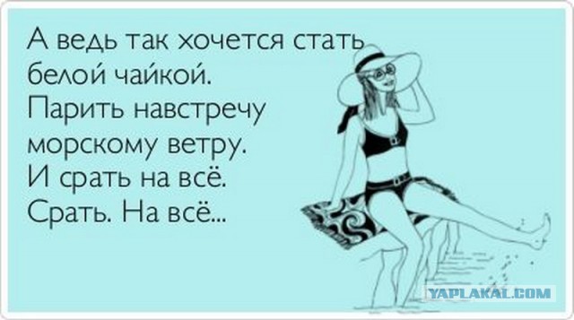 Лучшие  «аткрытки»года