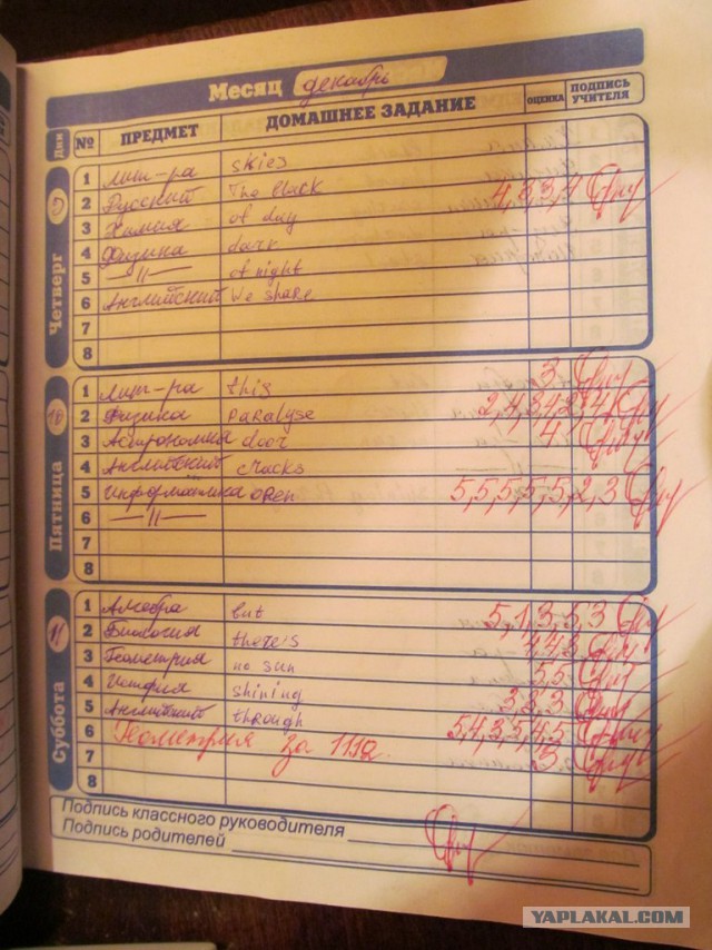 Барсук. Изложение.