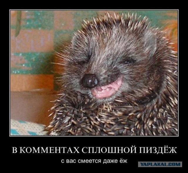 Кавказские патрули