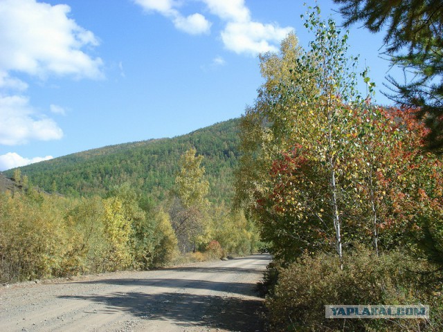 Сибирь настоящая