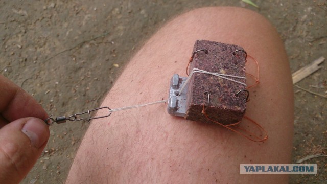 Немного рыбалки под Астраханью