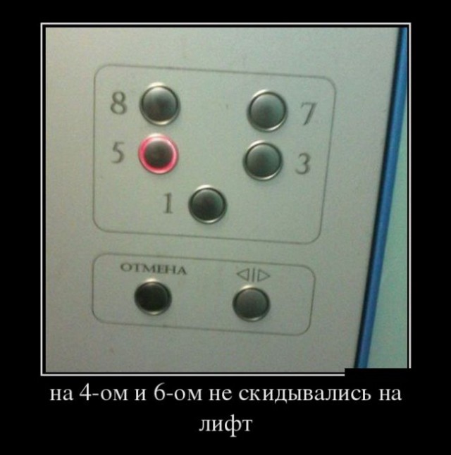 Смешные картинки с подписями 2