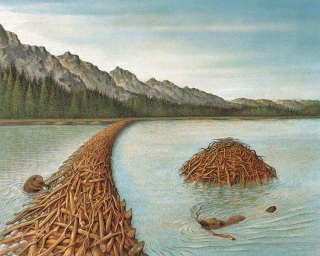 Добряки, плюсующие всех подряд