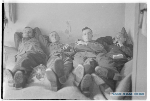 Обыкновенный фашизм