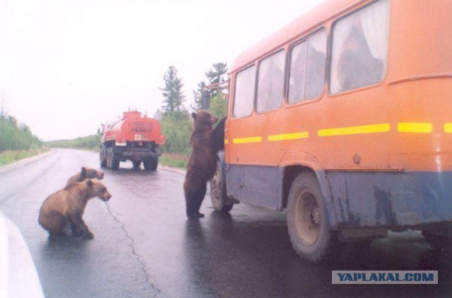 Это Россия, детка