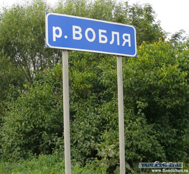 Проверка на трезвость