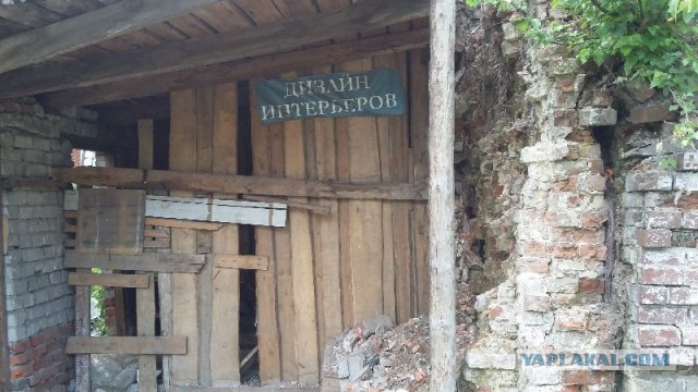Весёлости в картинках