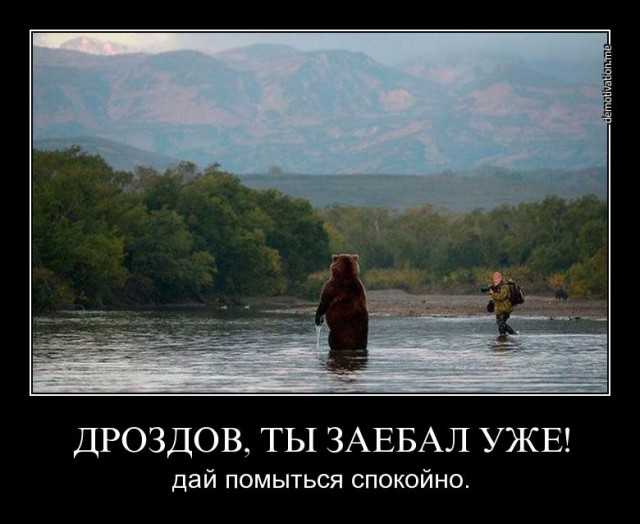 Камчатский дневник: жизнь в клетке