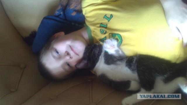 Котовторник наступил!:)