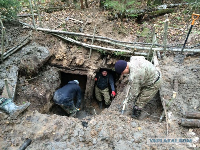 Находка у дальней стены землянки в лесу