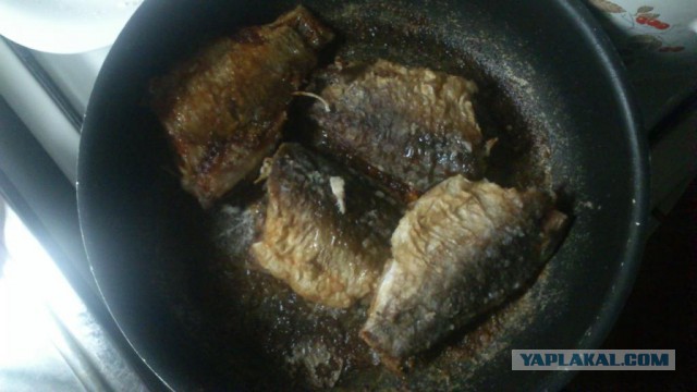 Спасите Вилли.. карася!