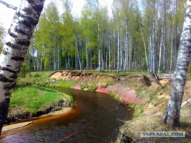 Как мы День Победы  отмечаем...