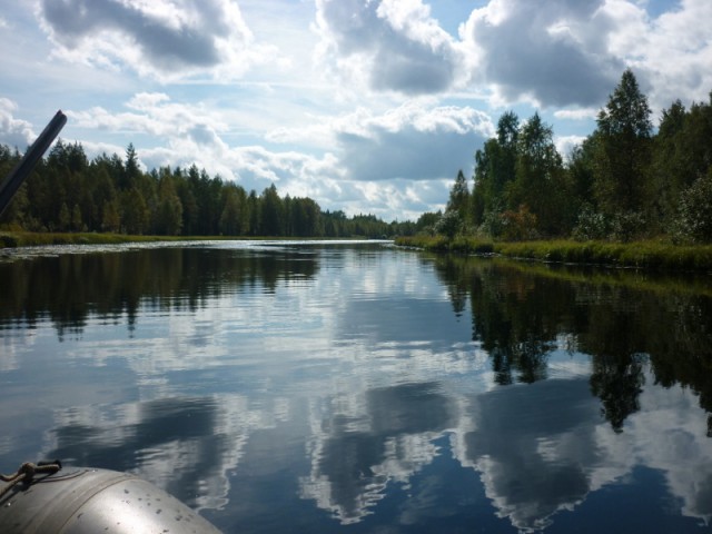 Я узнал, что у меня есть огромная семья