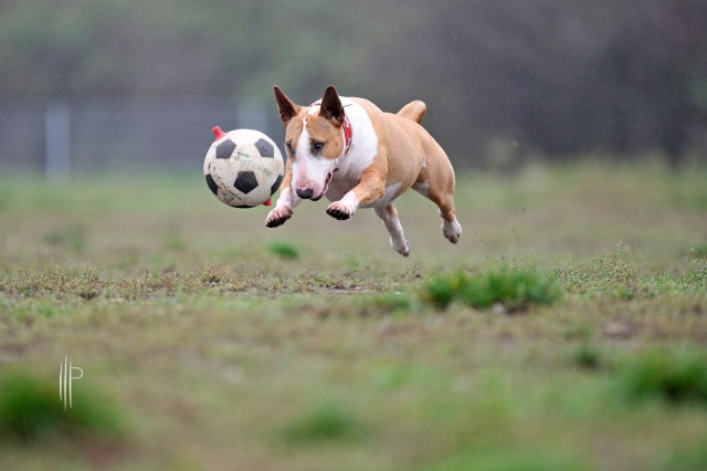 Красивые фото