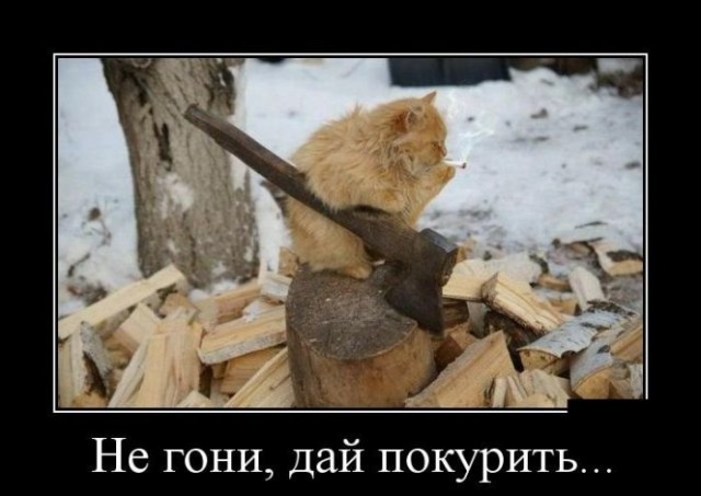 Смешные картинки с надписями 04.04.2016