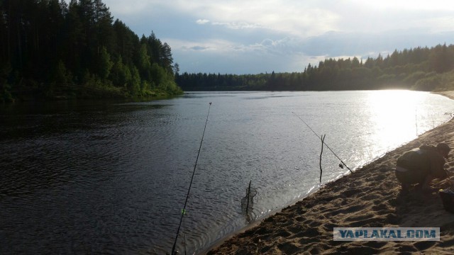 Рыбалка на реке Луза