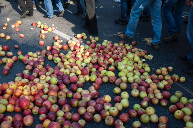 Польские садовники потребовали возобновить экспорт яблок в Россию