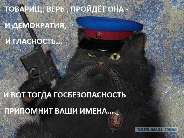 Курилы. Договор заключен.