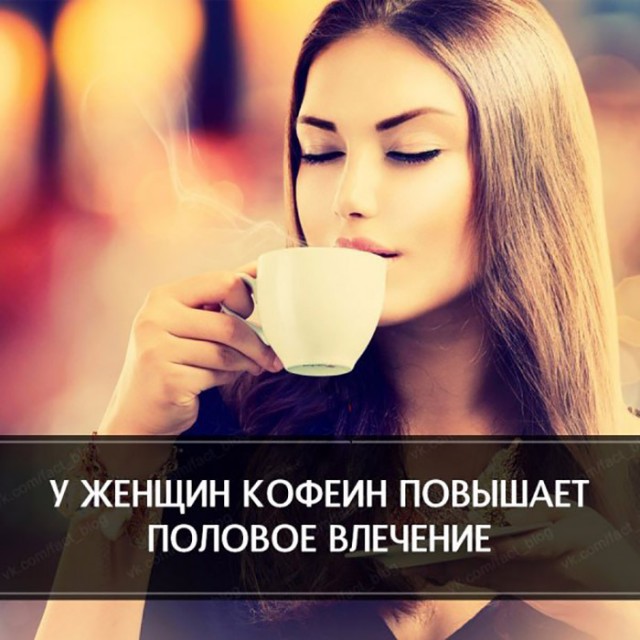 Краткие факты