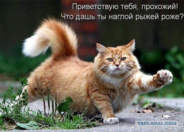Картинки. Интересные, старые и не очень