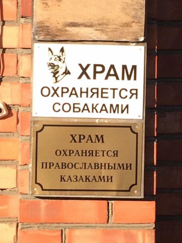 Подборка интересных и веселых картинок
