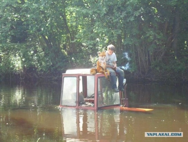 Трактор и грустный тракторист