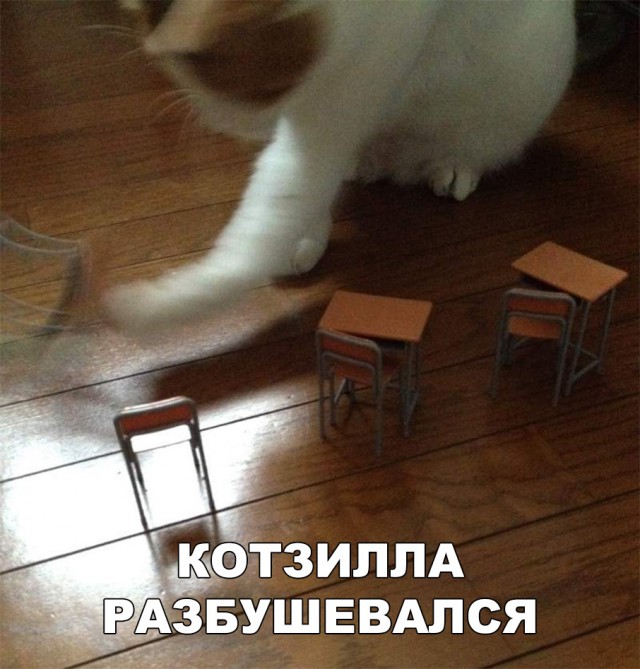 Нестандартный юмор