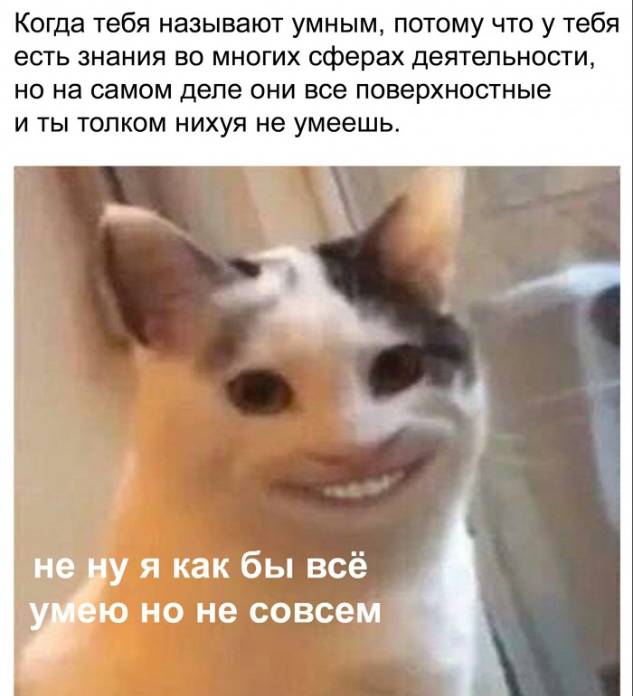 Кот смешно улыбается мем