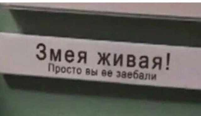 Почему взрослый мужчина живет с мамой