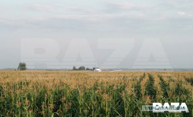 В Подмосковье пассажирский самолёт Уральских Авиалиний экстренно приземлился в поле