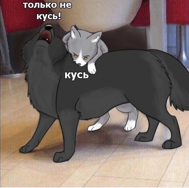Вписался за кореша