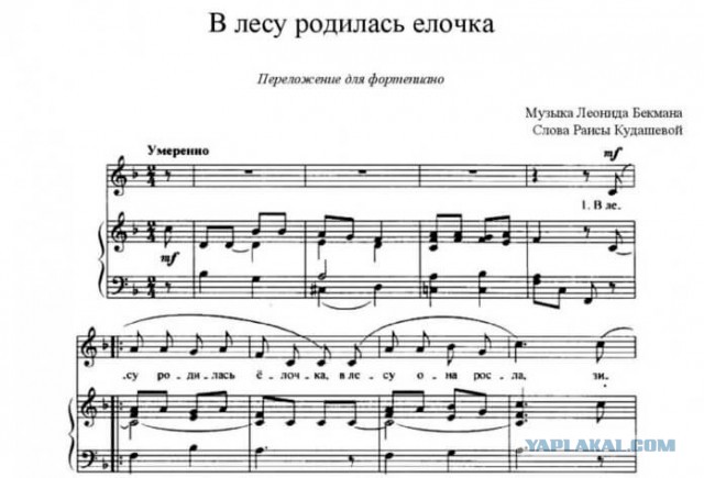 Упрекнул женщин на сайте знакомств в том, что они мало зарабатывают. Показываю ответы