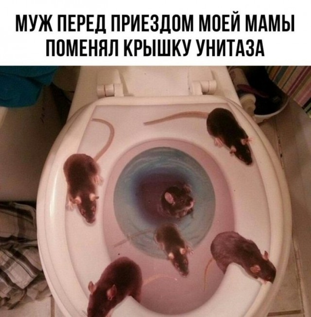 Три литра вдребезги или месть алкоголика!