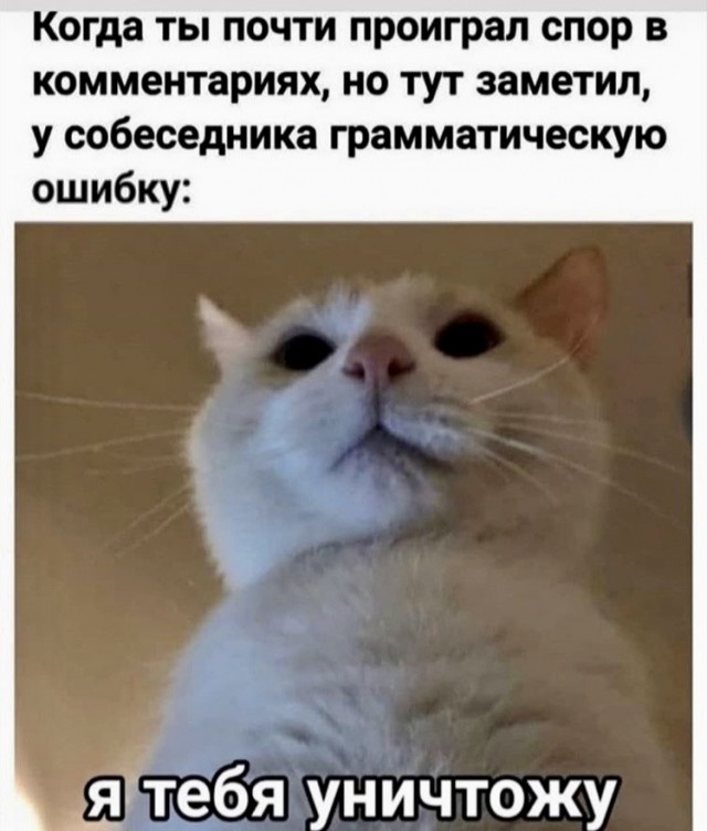 Боянистые картинки 17.12.20