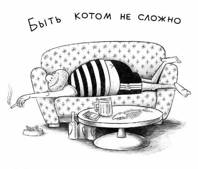 С котопятницей! Улыбнемся?