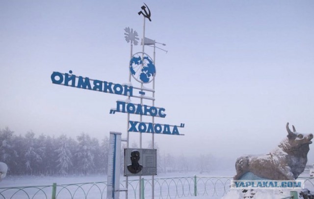 Абсолютно с ним солидарен