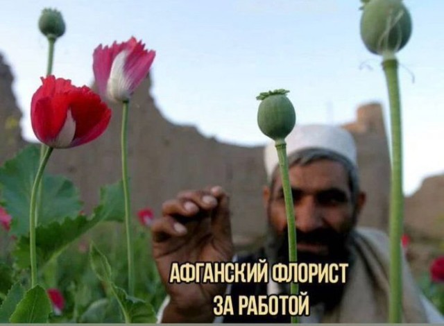 Россия примет участие в восстановлении Афганистана