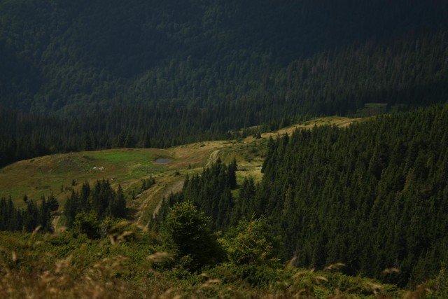 Карпаты, Закарпатье.