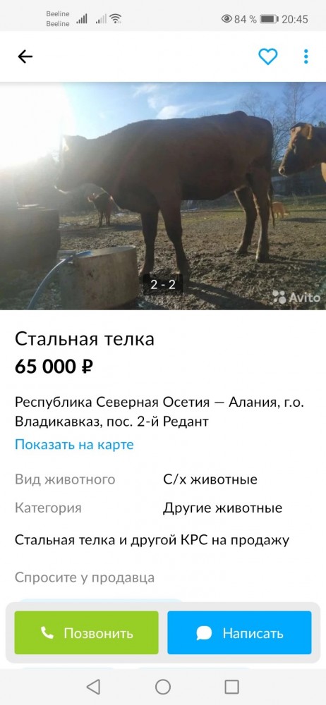 Подборка картинок и мемов на любой вкус